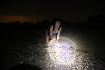 жена полночи лазила по пляжу помогала рожать черепахам))) и сидел и пил винище