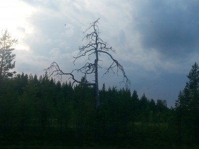 0_11eb16_229c775b_orig.jpg (1.49 МБ) 1495 просмотров 0_11eb16_229c775b_orig.jpg