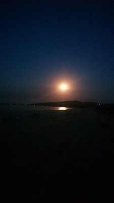 3. Луна над Курортным.JPG