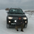 Аватара пользователя