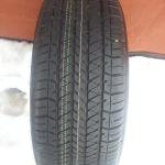 20130402_142604.jpg