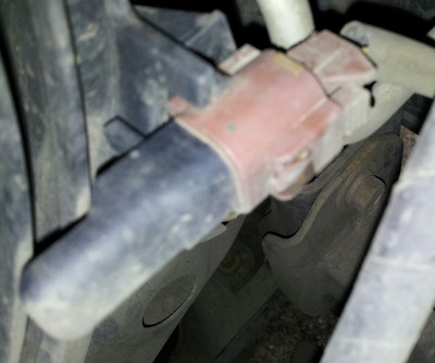 20130409_093833-1.jpg
