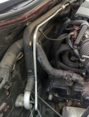 20130409_093922-1.jpg