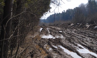 IMAG0385.jpg