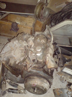 DSC00013.JPG