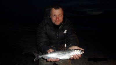 SAM_2710.JPG (1.12 МБ) 15415 просмотров омуль-мой релакс
