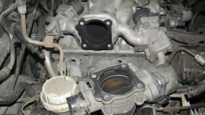 IMG_3480.JPG