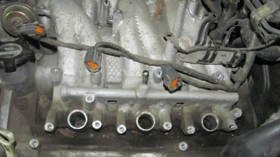 IMG_3493.JPG