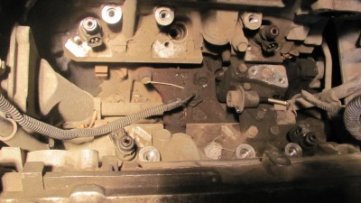 IMG_3529.JPG