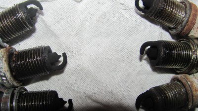 IMG_3535.JPG