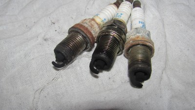 IMG_3533.JPG