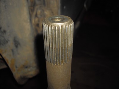 IMGP3144.JPG