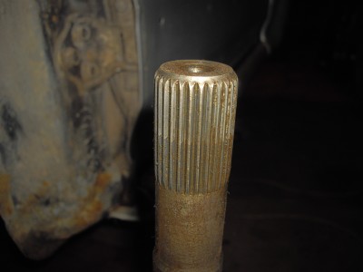 IMGP3148.JPG