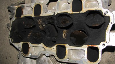 IMG_3519.JPG