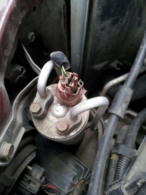 20130409_093737.jpg