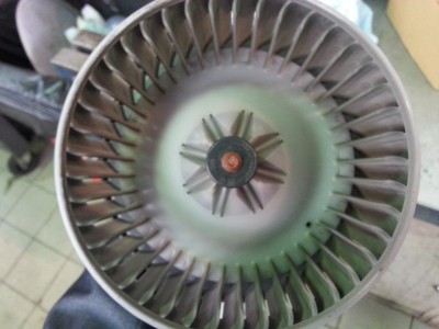 20130423_123442.jpg