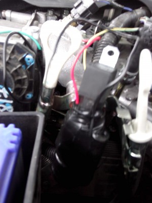 IMG00006.jpg