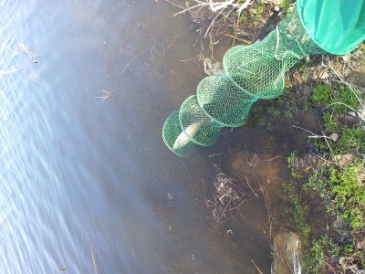 20130413_103348.jpg