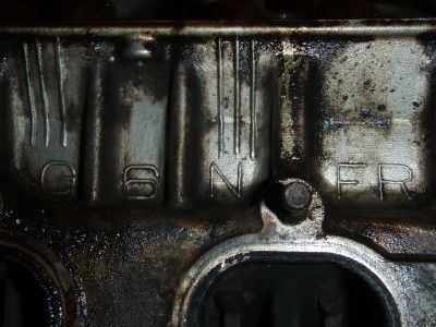 P4293195.JPG