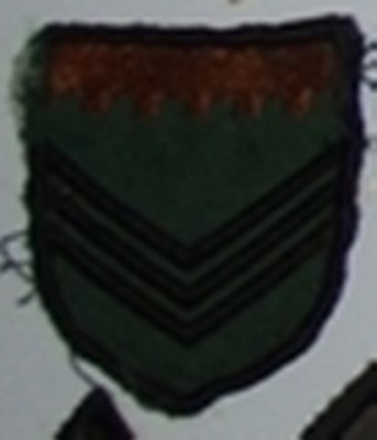 123.jpg