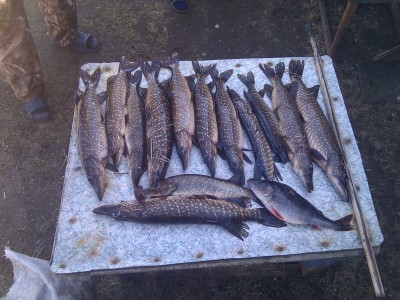 IMG_20130502_141247.jpg