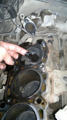 07052013126.jpg