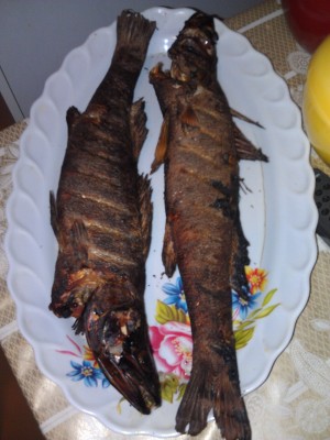 IMAG1056.jpg
