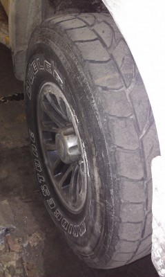 IMAG0484_resize.jpg