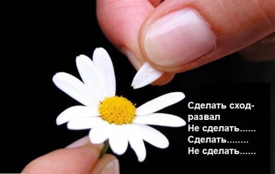 726670_4280.jpg