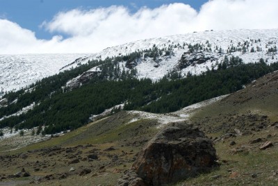 IMGP2512.jpg
