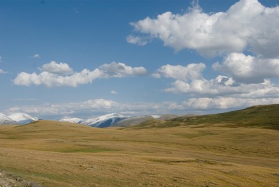 IMGP2774.jpg