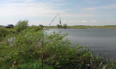 IMAG0139.jpg