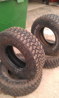 IMAG0455.jpg