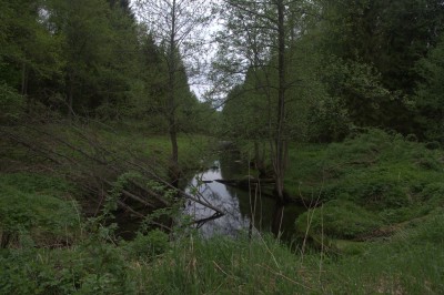 IMG_0175.jpg