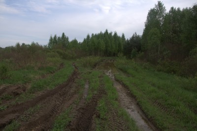 IMG_0187.jpg