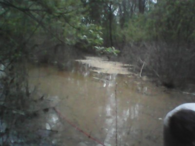 IMG00008.jpg