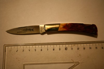 barracuda.jpg