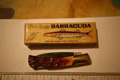 barracuda1.jpg