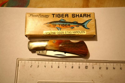 shark1.jpg