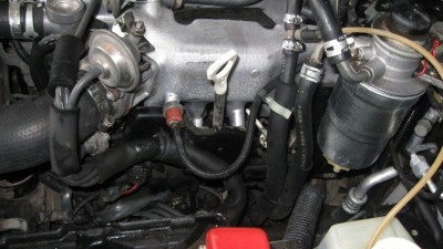 IMG_2759.jpg