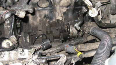 IMG_2787.jpg
