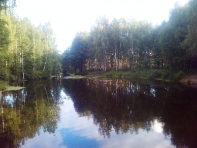 2012-08-26 18.32.30.jpg