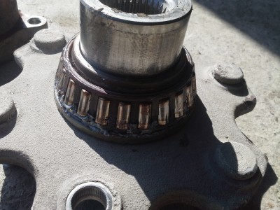 20130601_103230.jpg