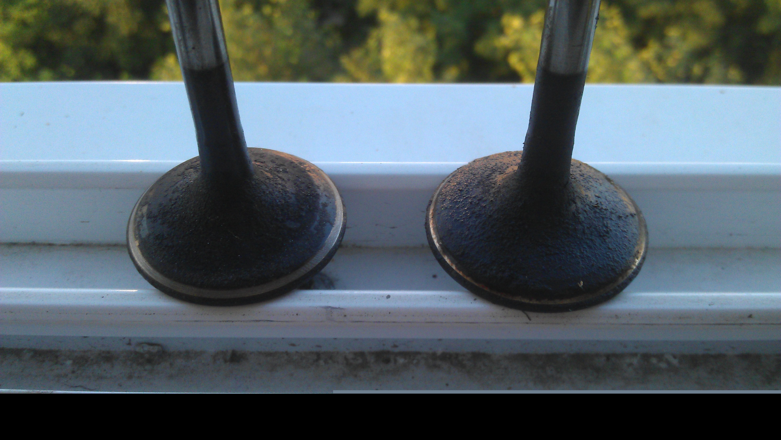 IMAG0380.jpg