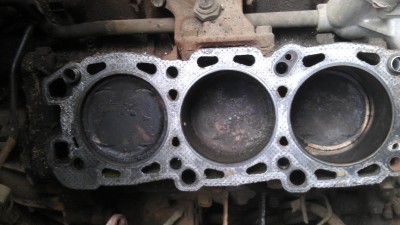 IMAG0384.jpg