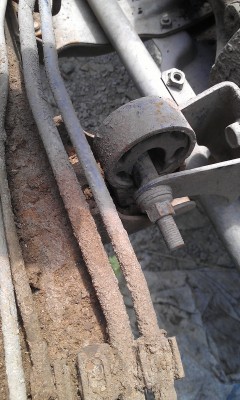 IMAG0126.jpg