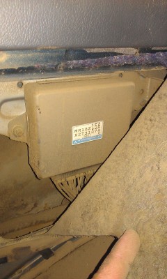 IMAG0124.jpg