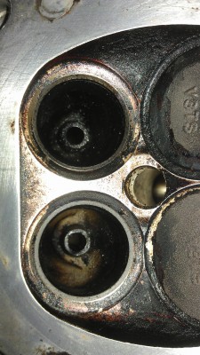 IMAG0386.jpg