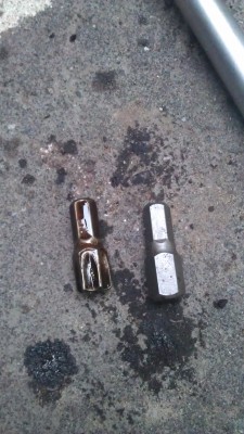 IMAG0392.jpg