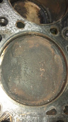 IMAG0393.jpg